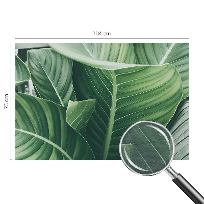 Uniek fotobehang met het Greenpeace-logo