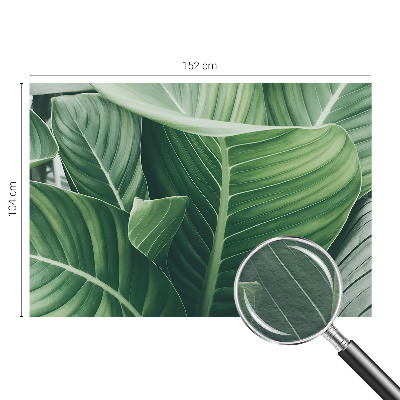 Uniek fotobehang Greenpeace