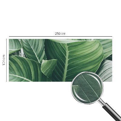 Uniek fotobehang Greenpeace