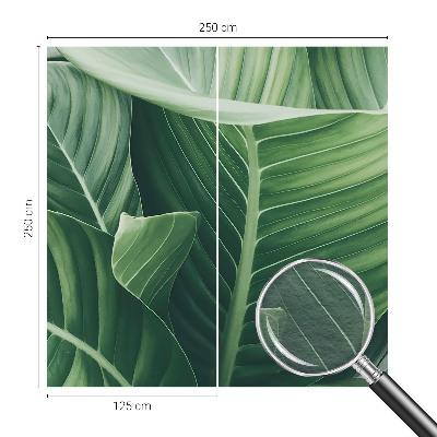 Uniek fotobehang Greenpeace