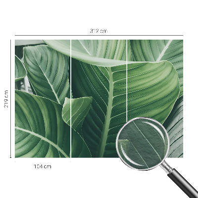 Uniek fotobehang met het Greenpeace-logo