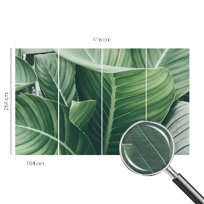 Uniek fotobehang Greenpeace