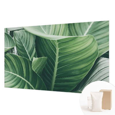 Uniek fotobehang Greenpeace