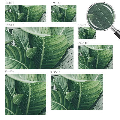 Uniek fotobehang Greenpeace