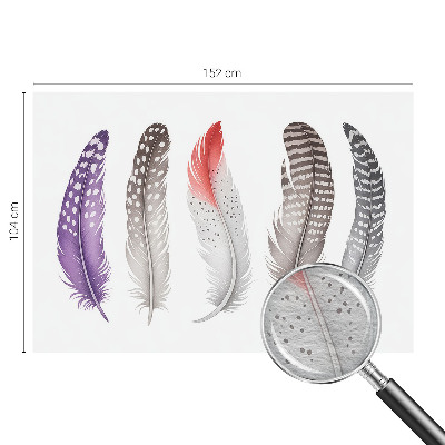 Groot fotobehang Gedessineerde veren