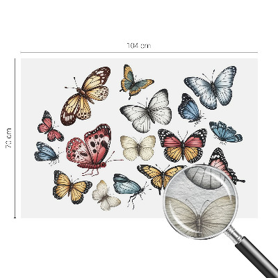 Vlies fotobehang op maat Paradijsvlinders