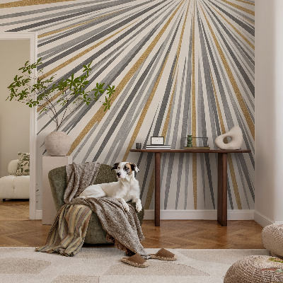 Muur behang Geometrische waaiers
