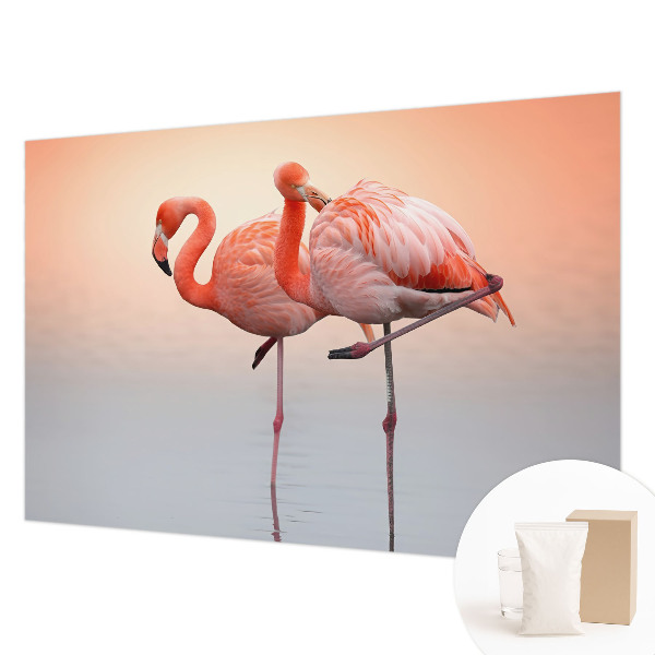 Fotobehang voor de woonkamer Delicate flamingo's