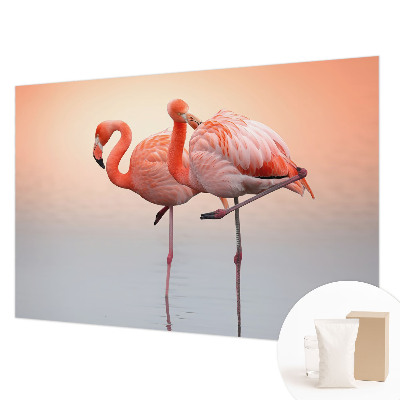 Fotobehang voor de woonkamer Delicate flamingo's