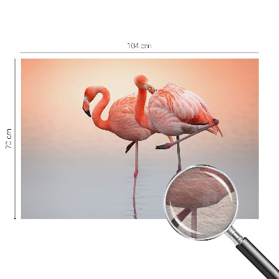 Fotobehang voor de woonkamer Delicate flamingo's