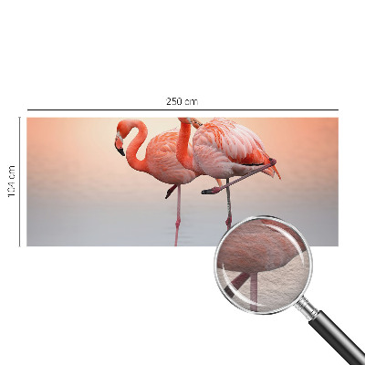 Fotobehang voor de woonkamer Delicate flamingo's