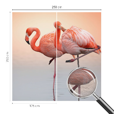 Fotobehang voor de woonkamer Delicate flamingo's