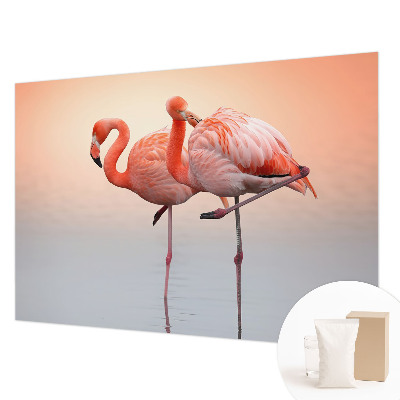 Fotobehang voor de woonkamer Delicate flamingo's