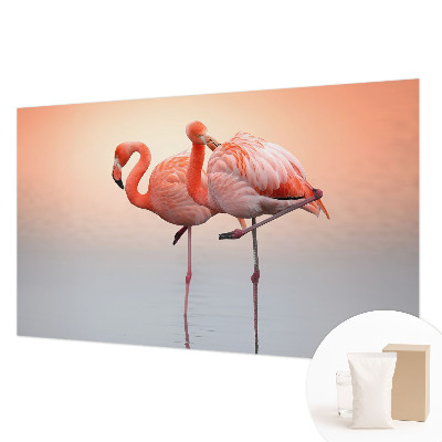Fotobehang voor de woonkamer Delicate flamingo's