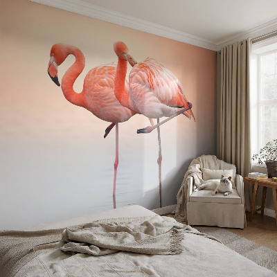 Fotobehang voor de woonkamer Delicate flamingo's
