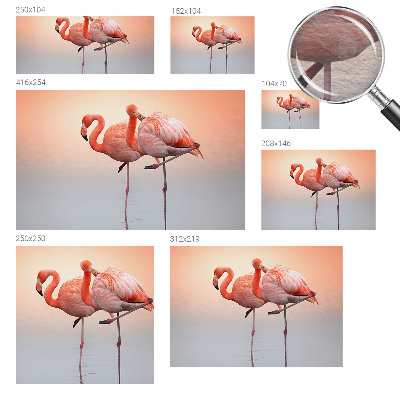 Fotobehang voor de woonkamer Delicate flamingo's