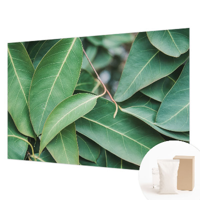 Fotobehang vlies met een patroon van groene bladeren