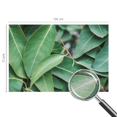 Fotobehang vlies met een patroon van groene bladeren