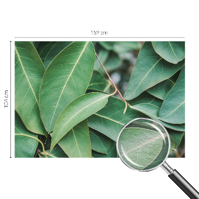 Fotobehang vlies Groene bladeren