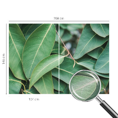 Fotobehang vlies Groene bladeren