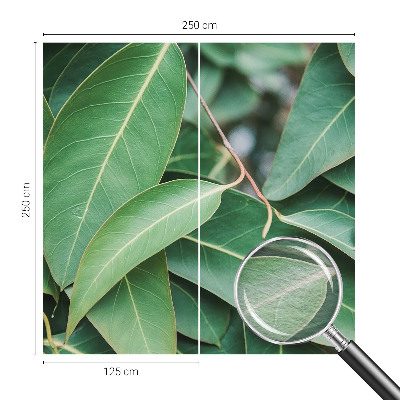 Fotobehang vlies Groene bladeren