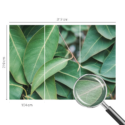 Fotobehang vlies Groene bladeren