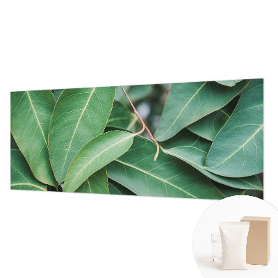 Fotobehang vlies Groene bladeren