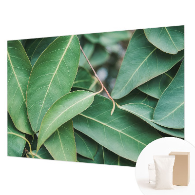 Fotobehang vlies met een patroon van groene bladeren