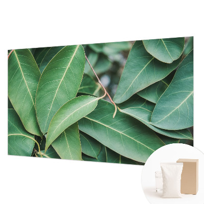 Fotobehang vlies met een patroon van groene bladeren