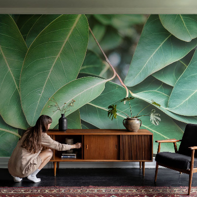 Fotobehang vlies Groene bladeren