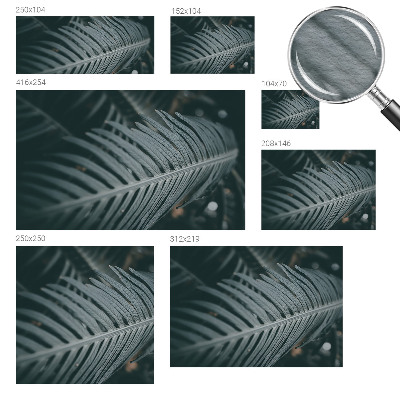 Muur behang Groen blad