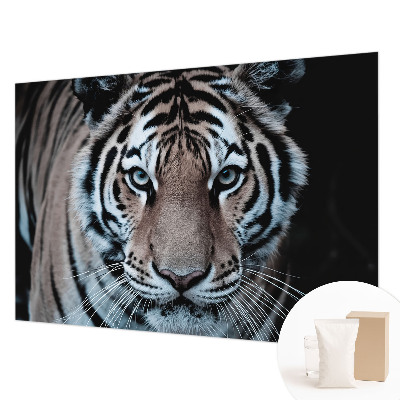 Vlies fotobehang met een close-up portret van een tijger