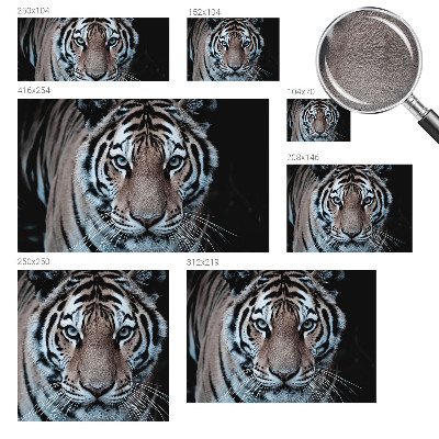 Vlies fotobehang met een close-up portret van een tijger