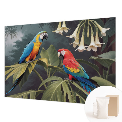 Kwalitatief fotobehang met kleurrijke papegaaien als motief