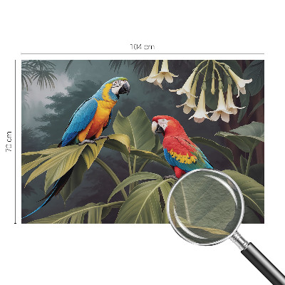 Kwalitatief fotobehang met kleurrijke papegaaien als motief