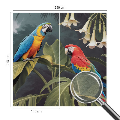 Kwalitatief fotobehang Kleurrijke papegaaien