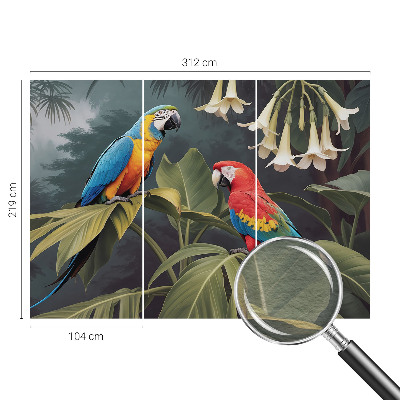 Kwalitatief fotobehang met kleurrijke papegaaien als motief