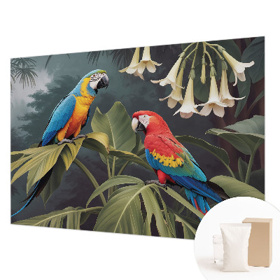 Kwalitatief fotobehang met kleurrijke papegaaien als motief