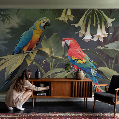 Kwalitatief fotobehang met kleurrijke papegaaien als motief