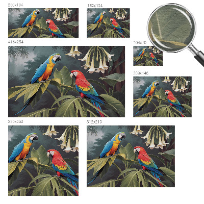 Kwalitatief fotobehang Kleurrijke papegaaien