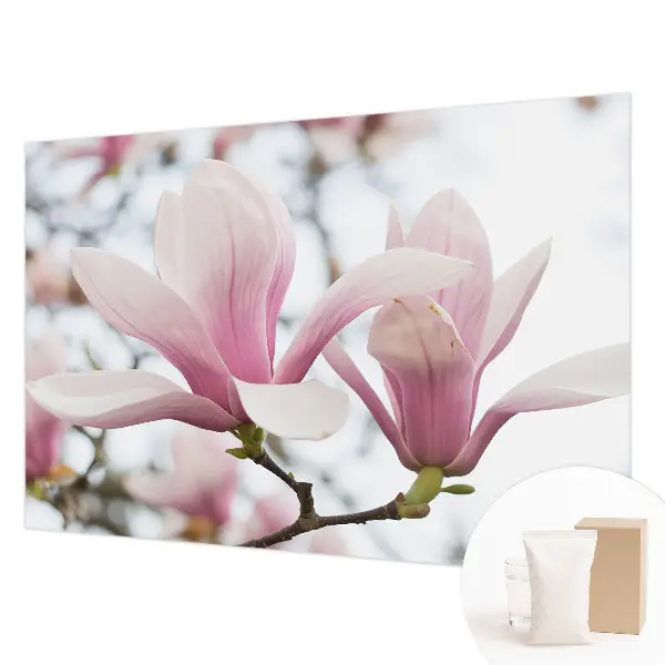 Fotobehang slaapkamer met magnoliabloemen