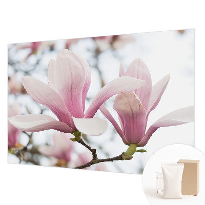 Fotobehang slaapkamer Magnolia bloemen