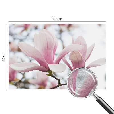 Fotobehang slaapkamer Magnolia bloemen