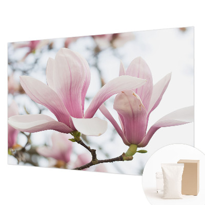 Fotobehang slaapkamer Magnolia bloemen