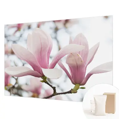 Fotobehang slaapkamer met magnoliabloemen