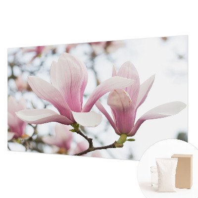 Fotobehang slaapkamer Magnolia bloemen