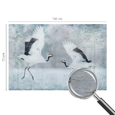 Modern fotobehang met een harmonieuze print van kraanvogels
