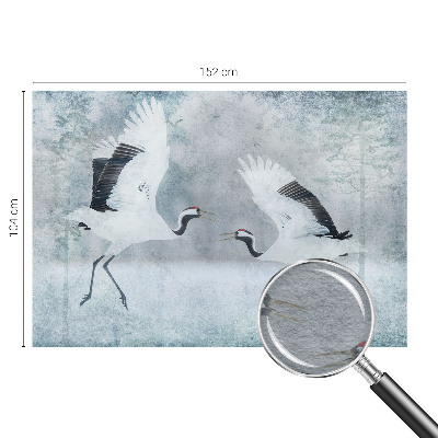 Modern fotobehang met een harmonieuze print van kraanvogels