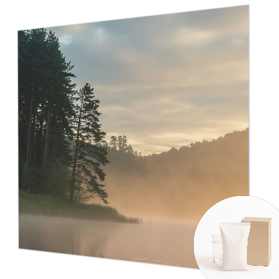 Modern fotobehang voor de woonkamer Mistige ochtend