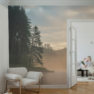 Modern fotobehang voor de woonkamer Mistige ochtend